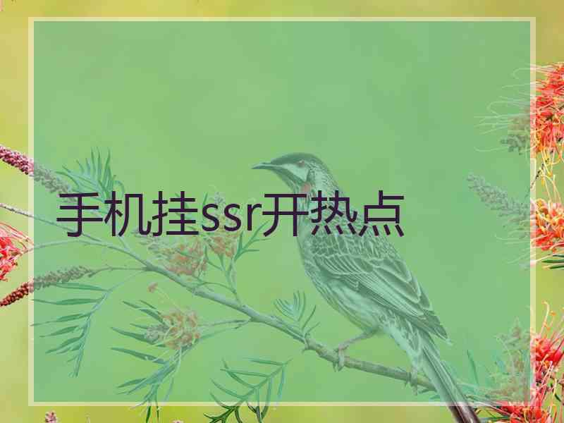 手机挂ssr开热点