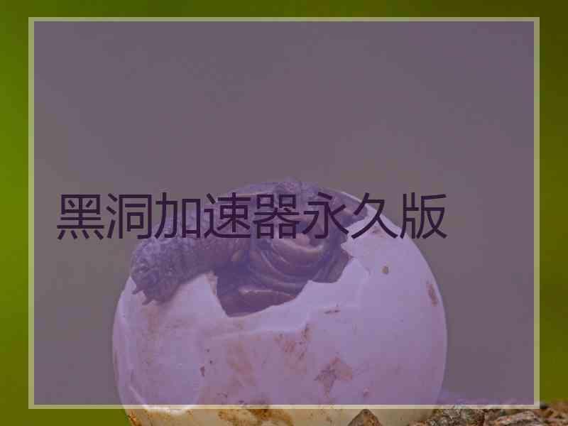 黑洞加速器永久版