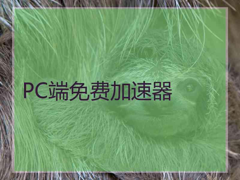 PC端免费加速器