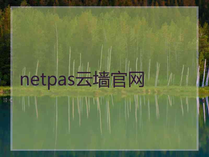 netpas云墙官网