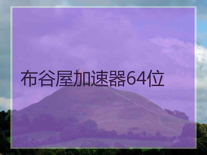 布谷屋加速器64位