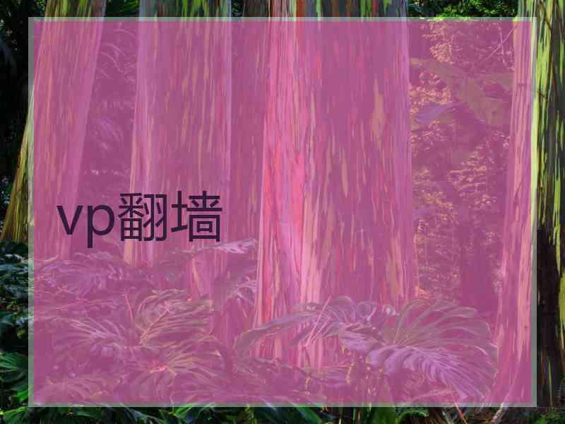 vp翻墙