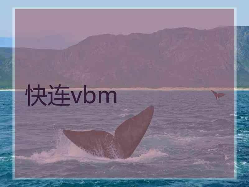 快连vbm