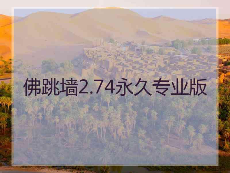 佛跳墙2.74永久专业版