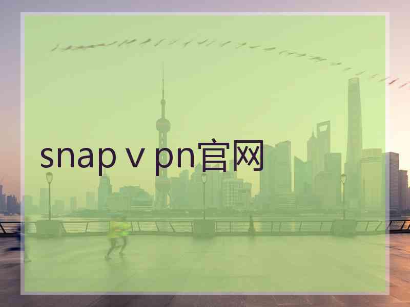 snapⅴpn官网